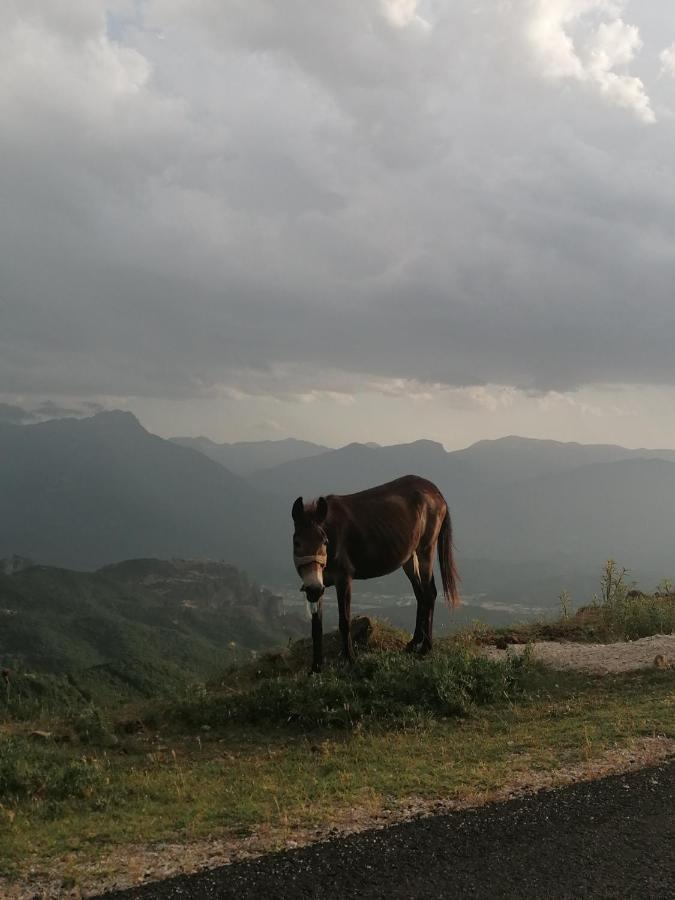 Meteora'S Sunset Διαμέρισμα Καλαμπάκα Εξωτερικό φωτογραφία